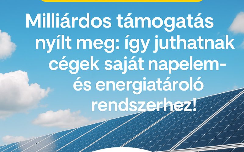 Sunviber-jedlig-palyazat
